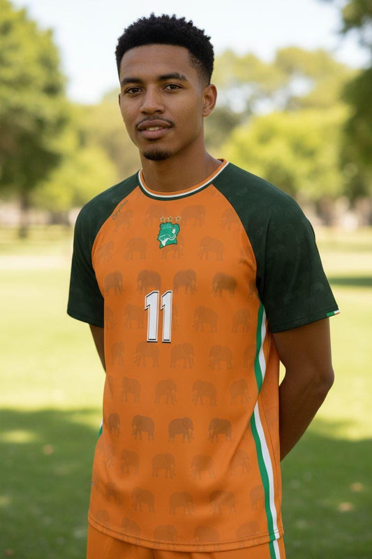 Ivory cost jersey soccer (Maillot de la cote d'ivoire )